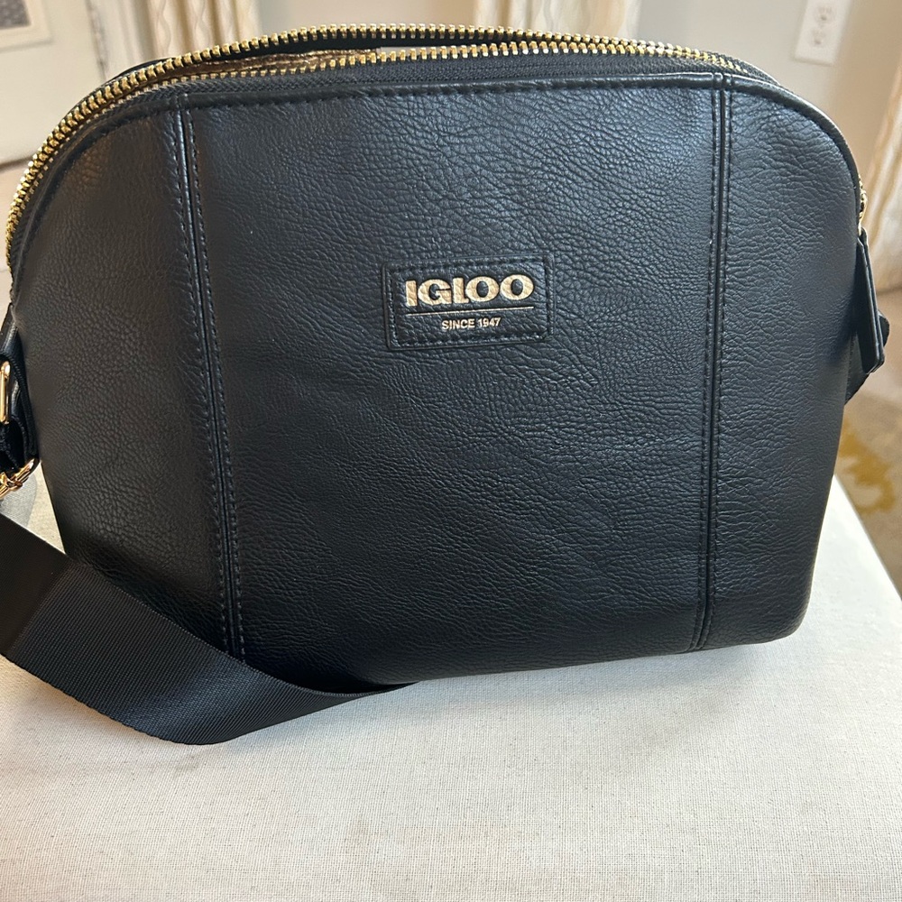 Igloo lunch bag